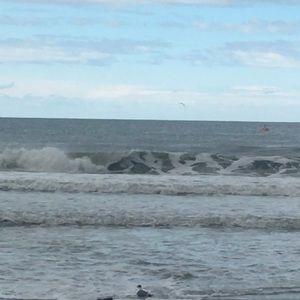 Meet your Posher, Hydee